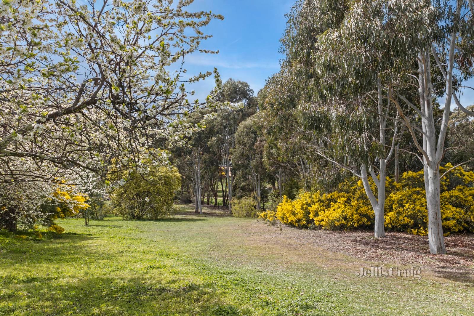 22 Vanstan Road, Castlemaine image 11