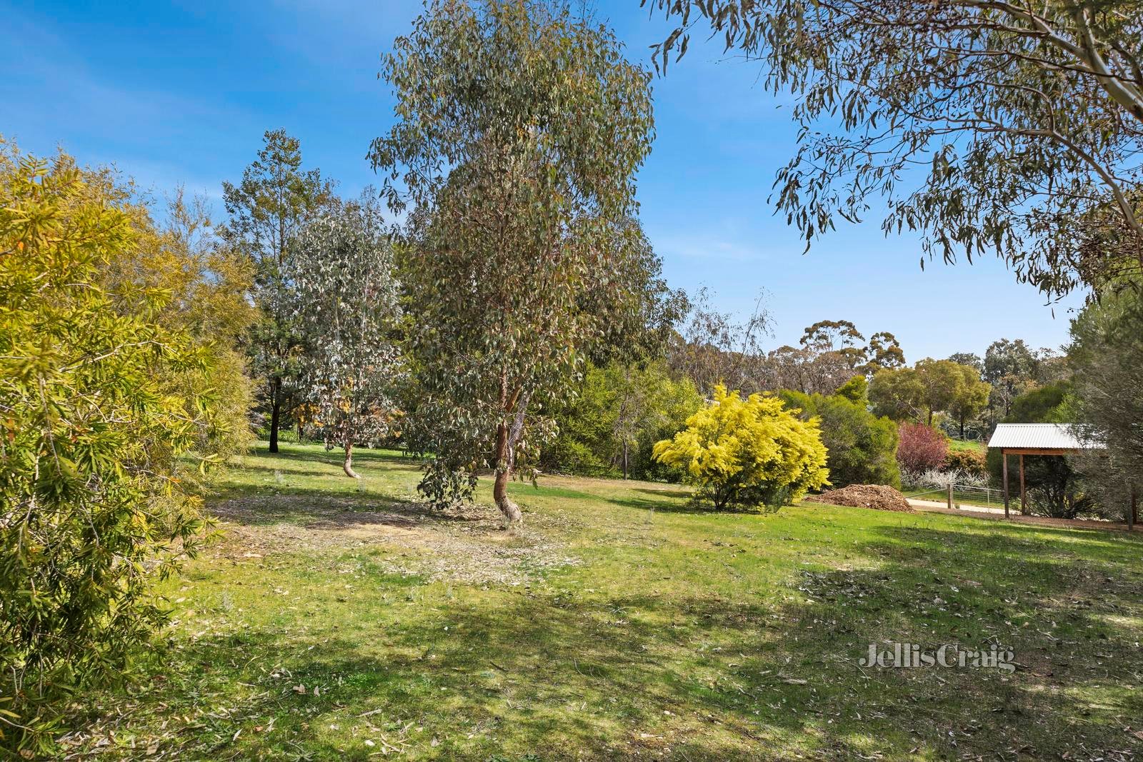 22 Vanstan Road, Castlemaine image 12