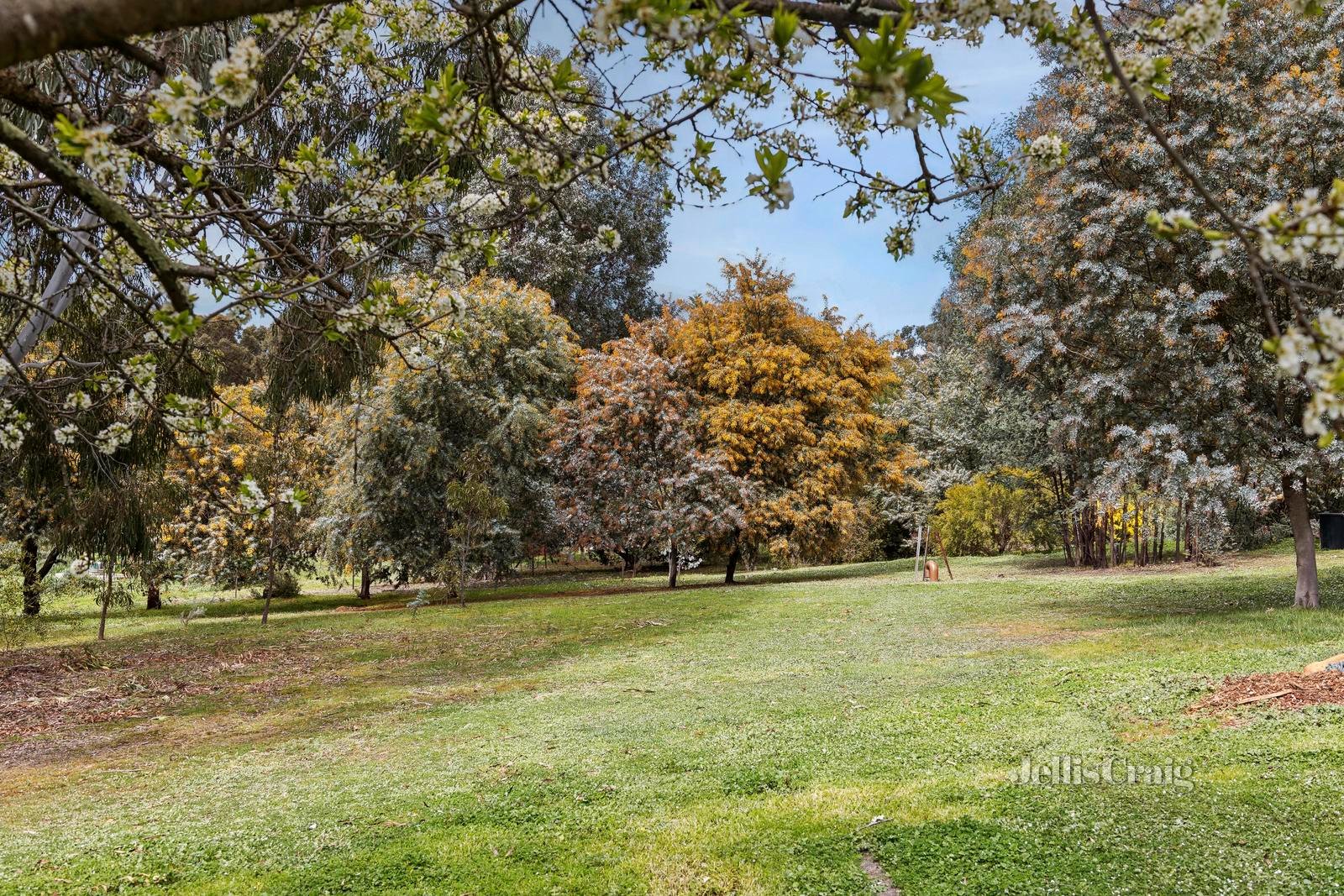 22 Vanstan Road, Castlemaine image 13