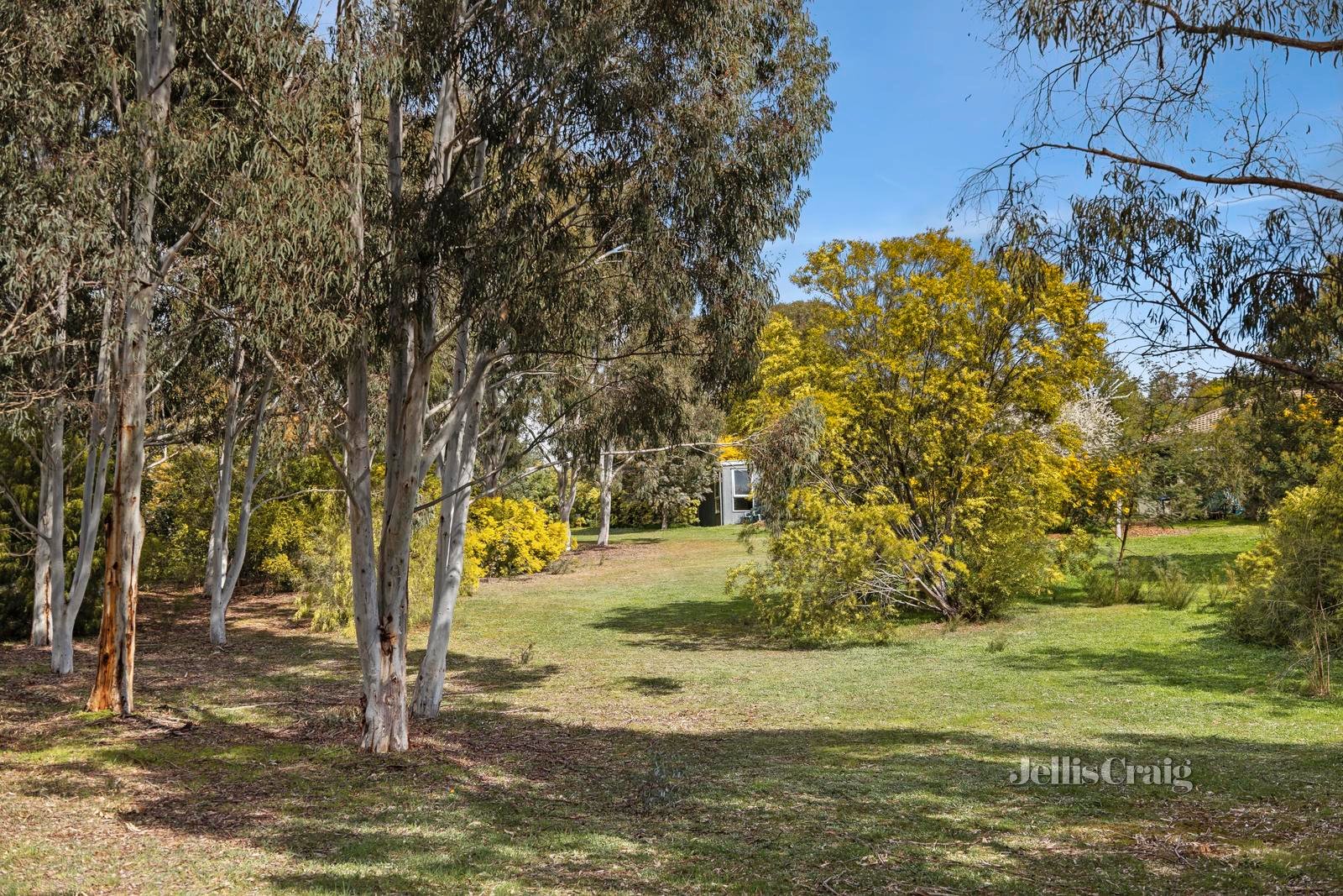 22 Vanstan Road, Castlemaine image 14