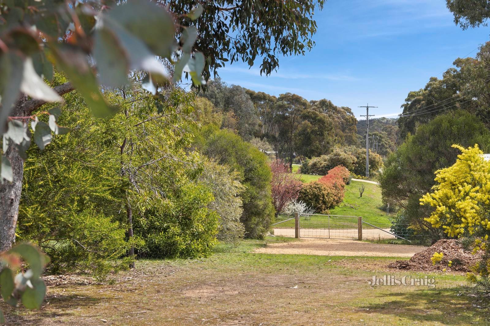 22 Vanstan Road, Castlemaine image 15