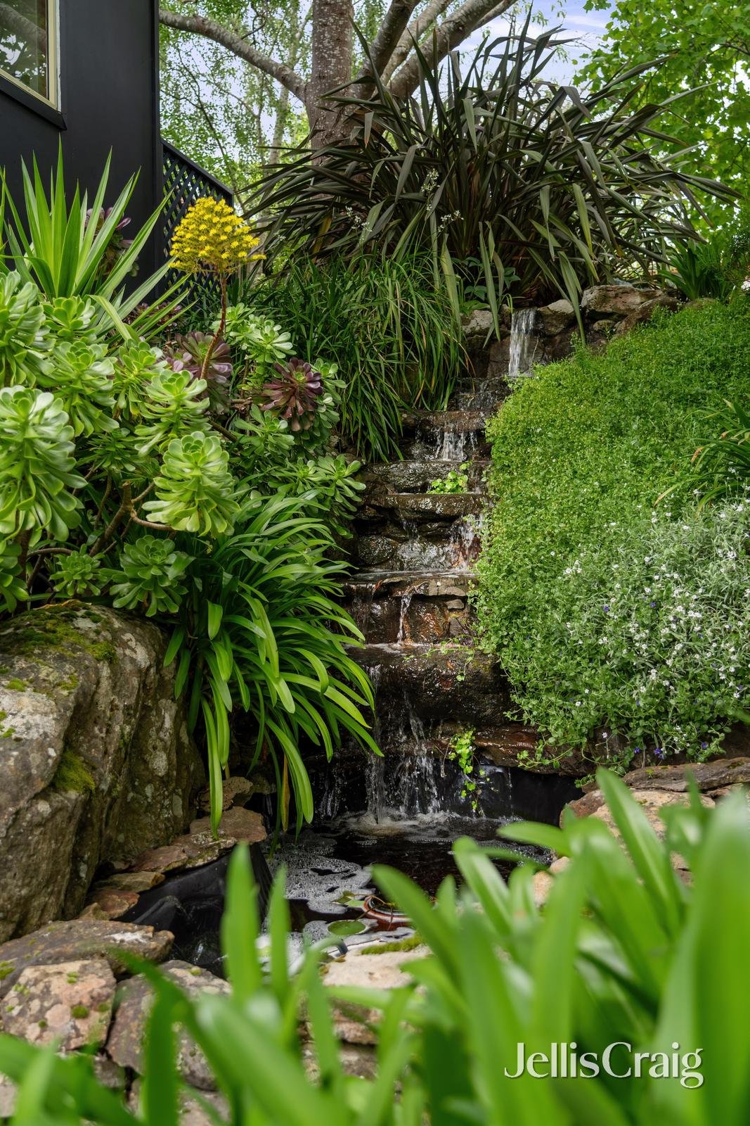 22 Waranga Street, Nerrina image 10
