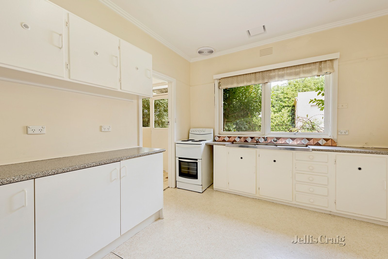 22 Williamson Road, Mont Albert North image 3