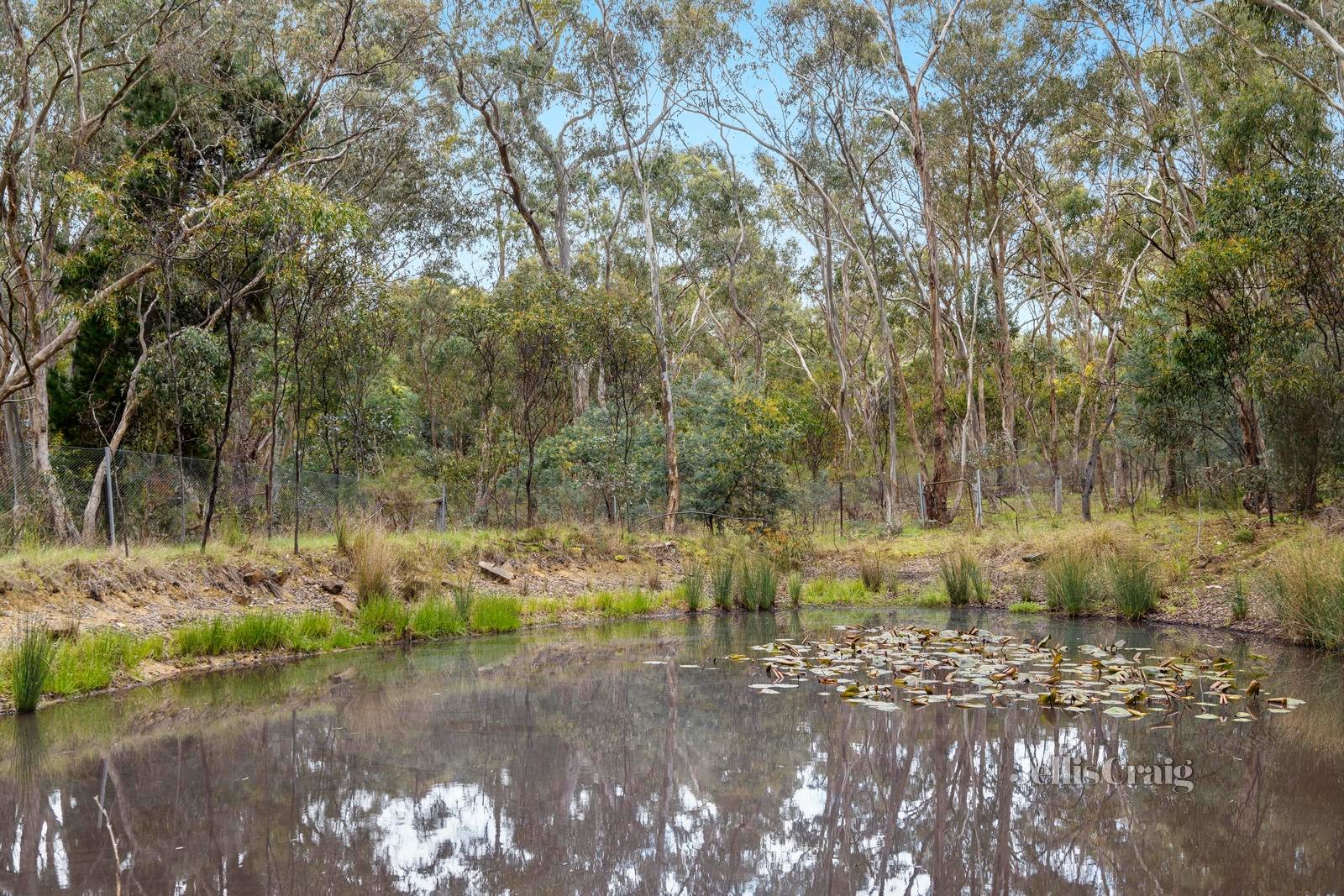 221 Colles Road, Castlemaine image 14