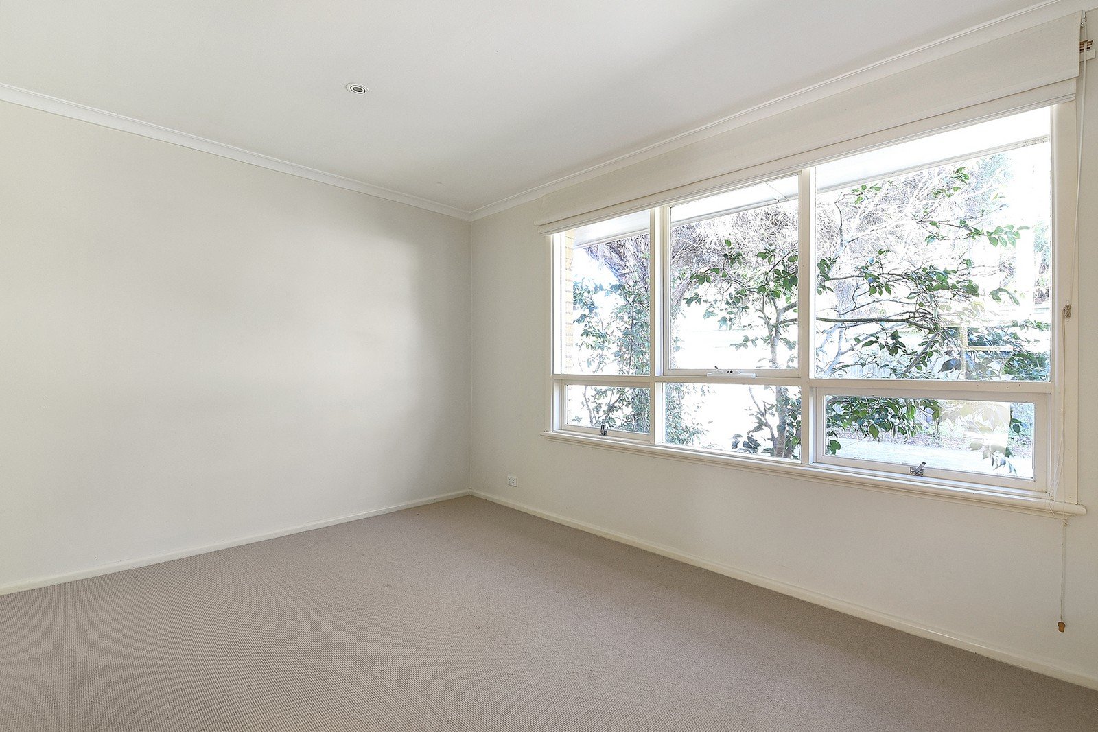 2 / 22 Well Street BRIGHTON