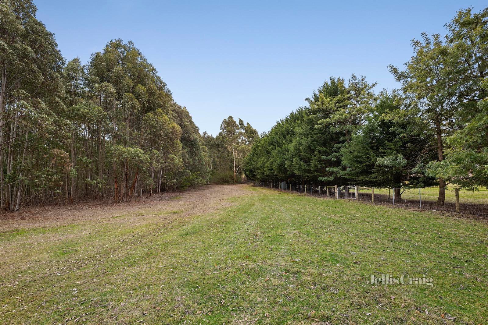 2229 Melba Highway, Dixons Creek image 10
