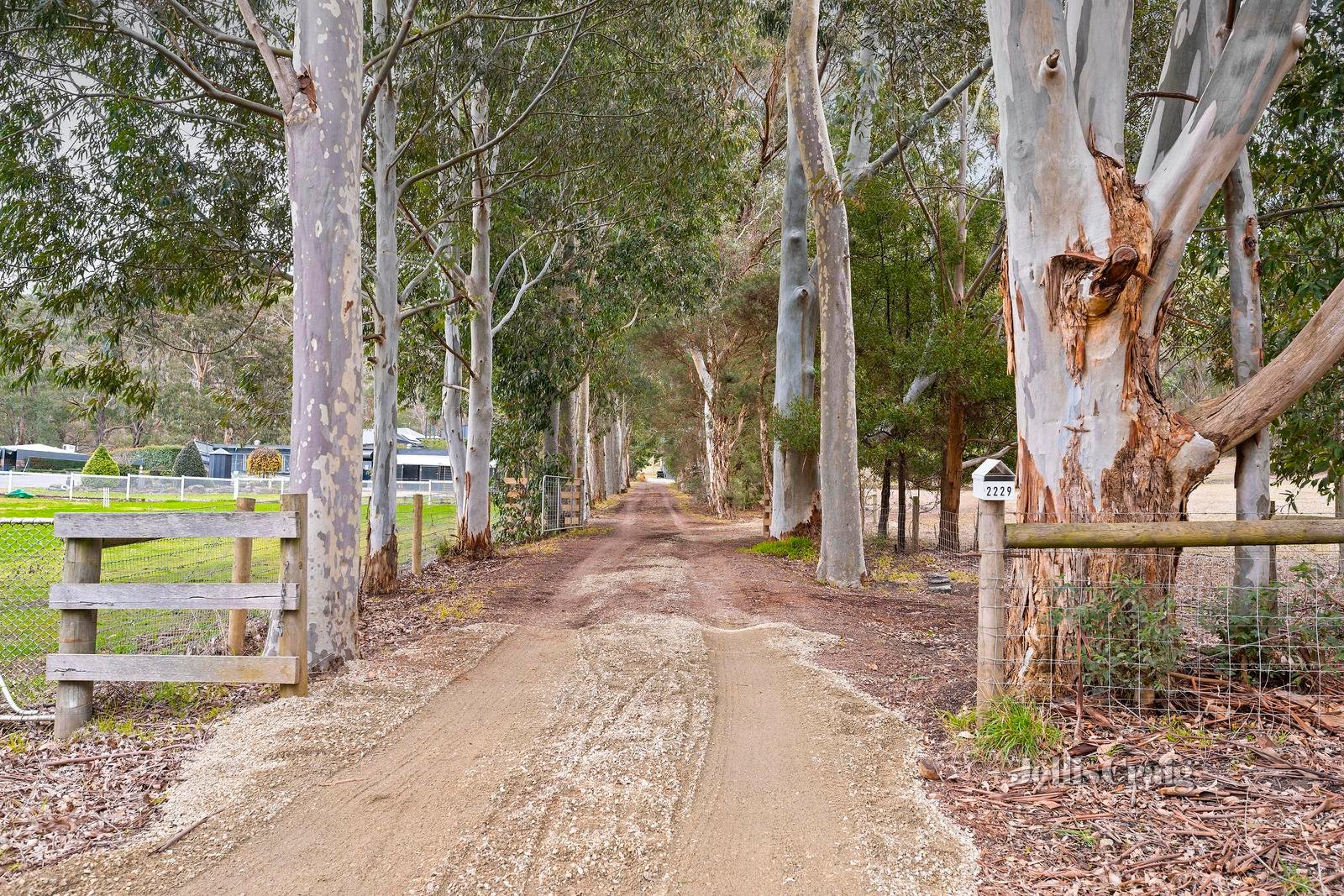 2229 Melba Highway, Dixons Creek image 12