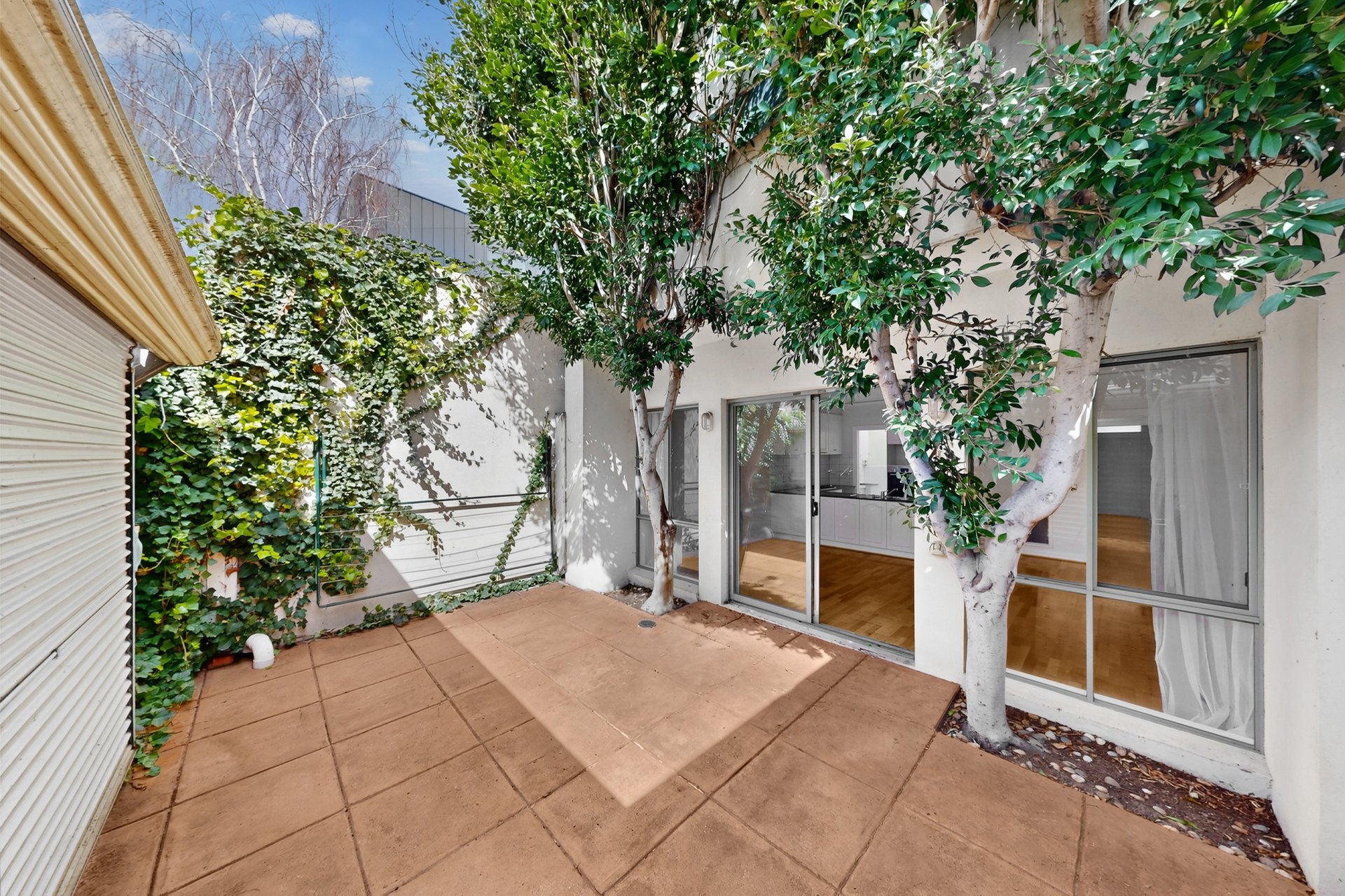 223 Cecil Street, South Melbourne image 3