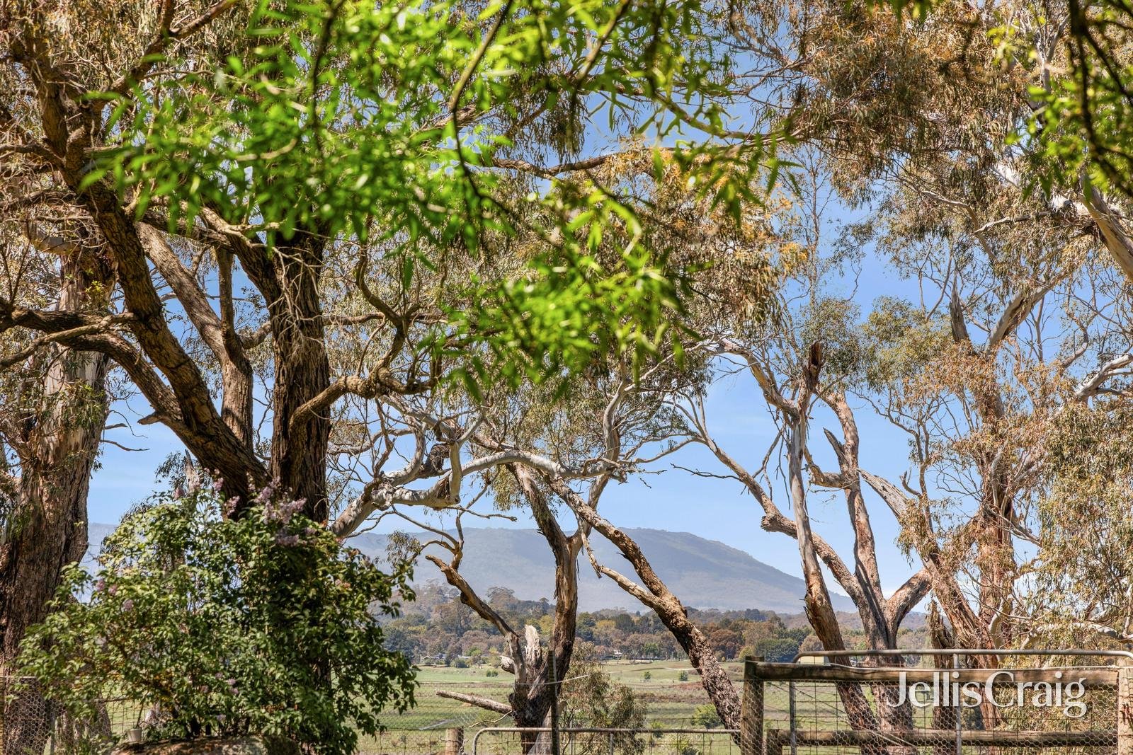 223 Trio Road, Kyneton image 3