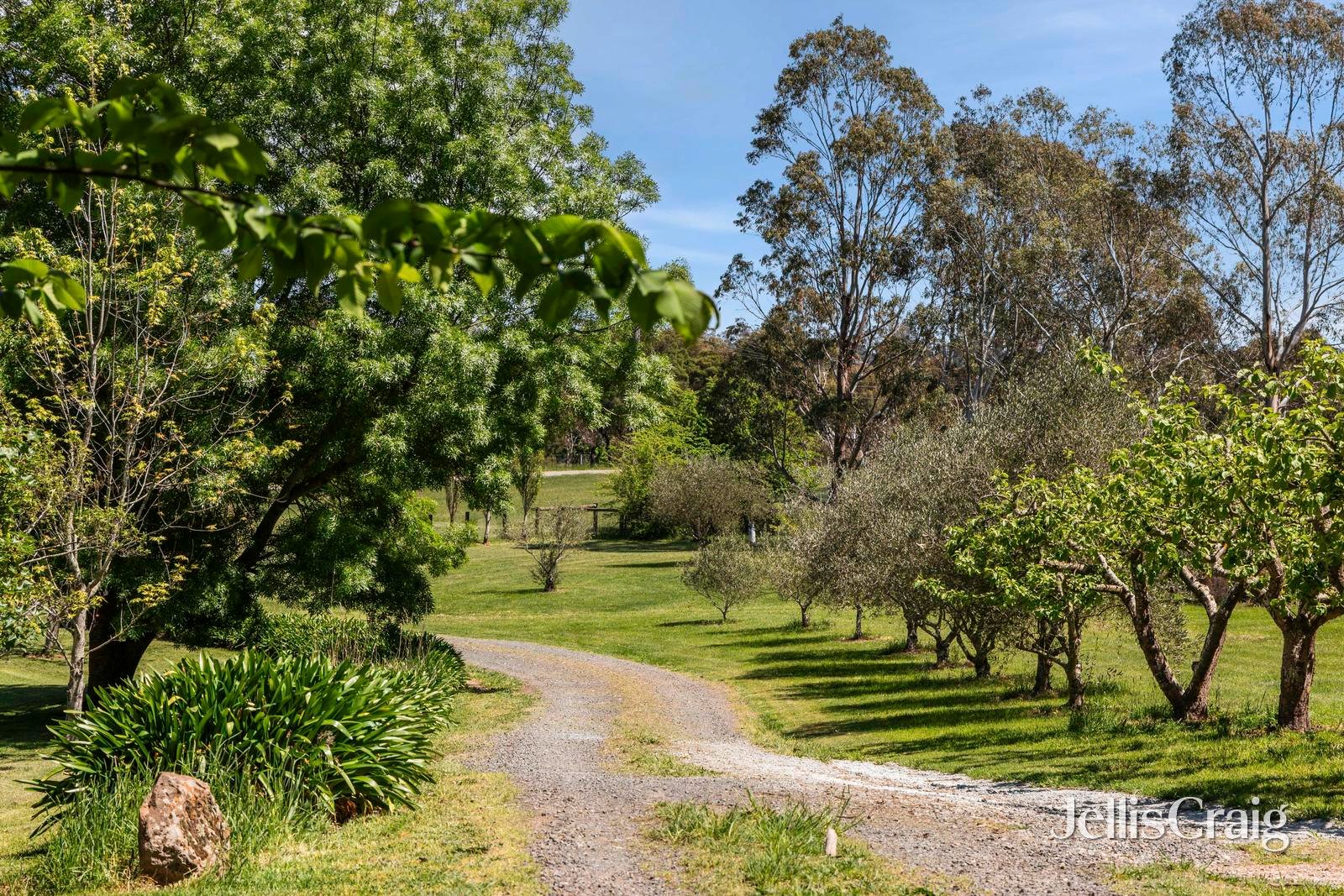 223 Trio Road, Kyneton image 4