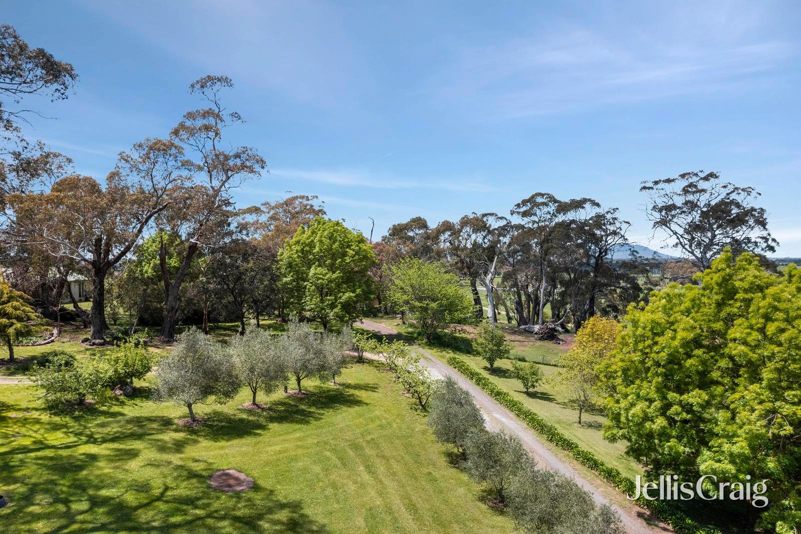 223 Trio Road, Kyneton image 14