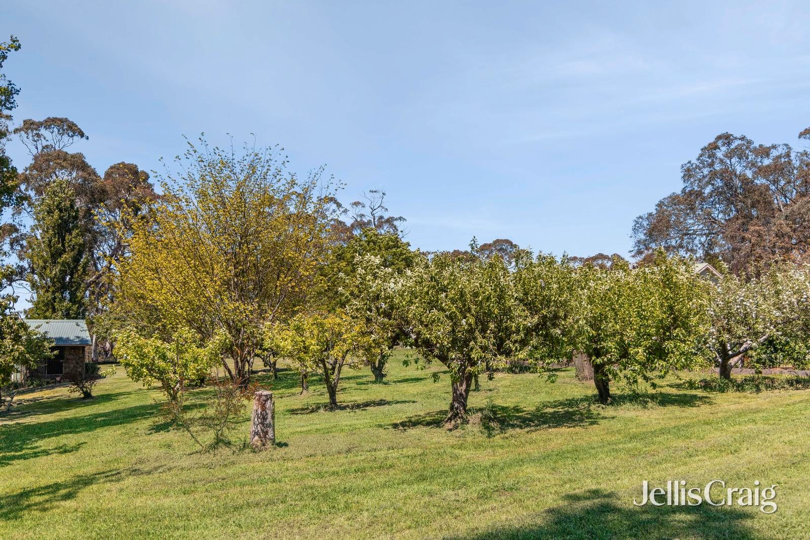223 Trio Road, Kyneton image 15