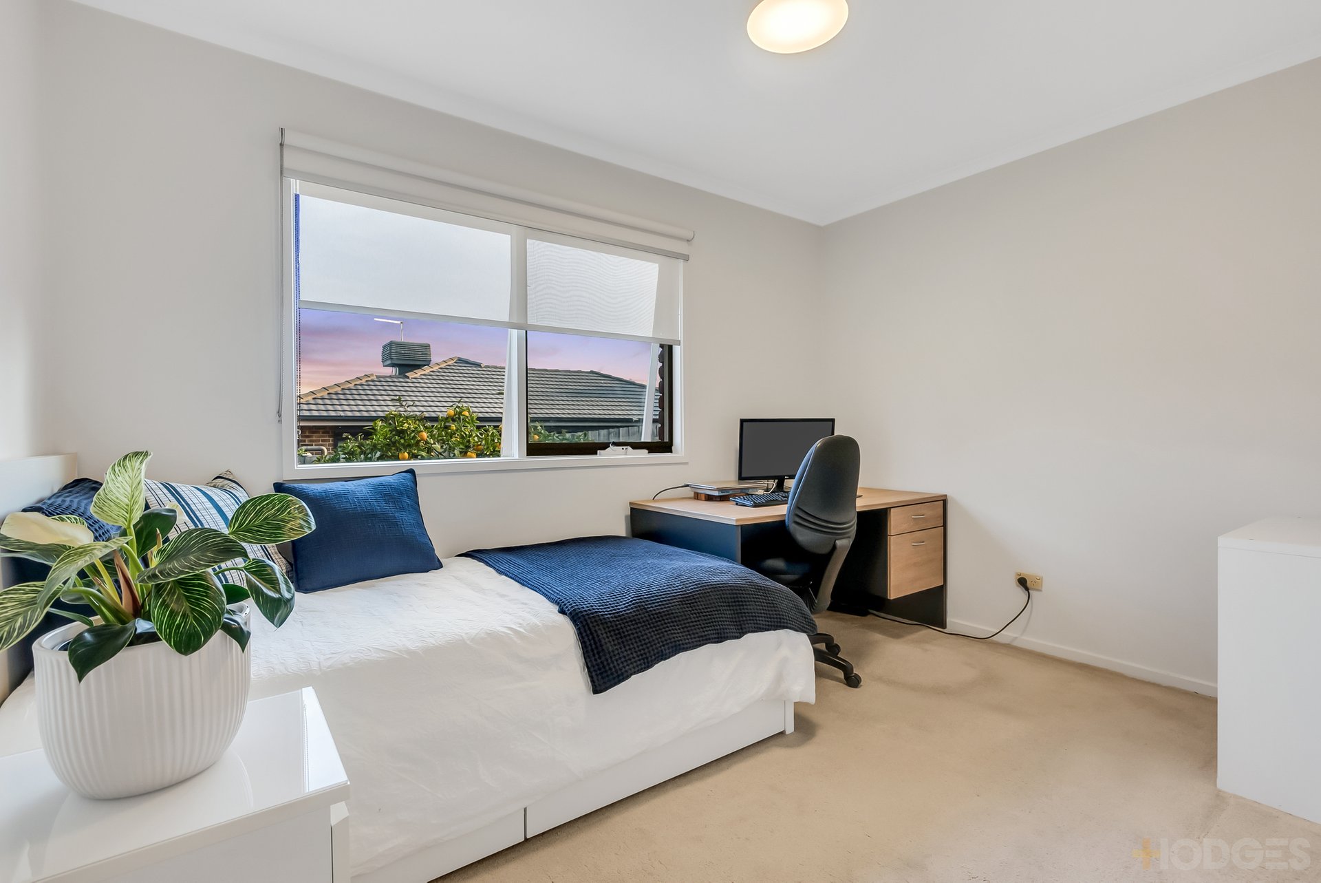 2 / 24 Sunray Avenue Cheltenham