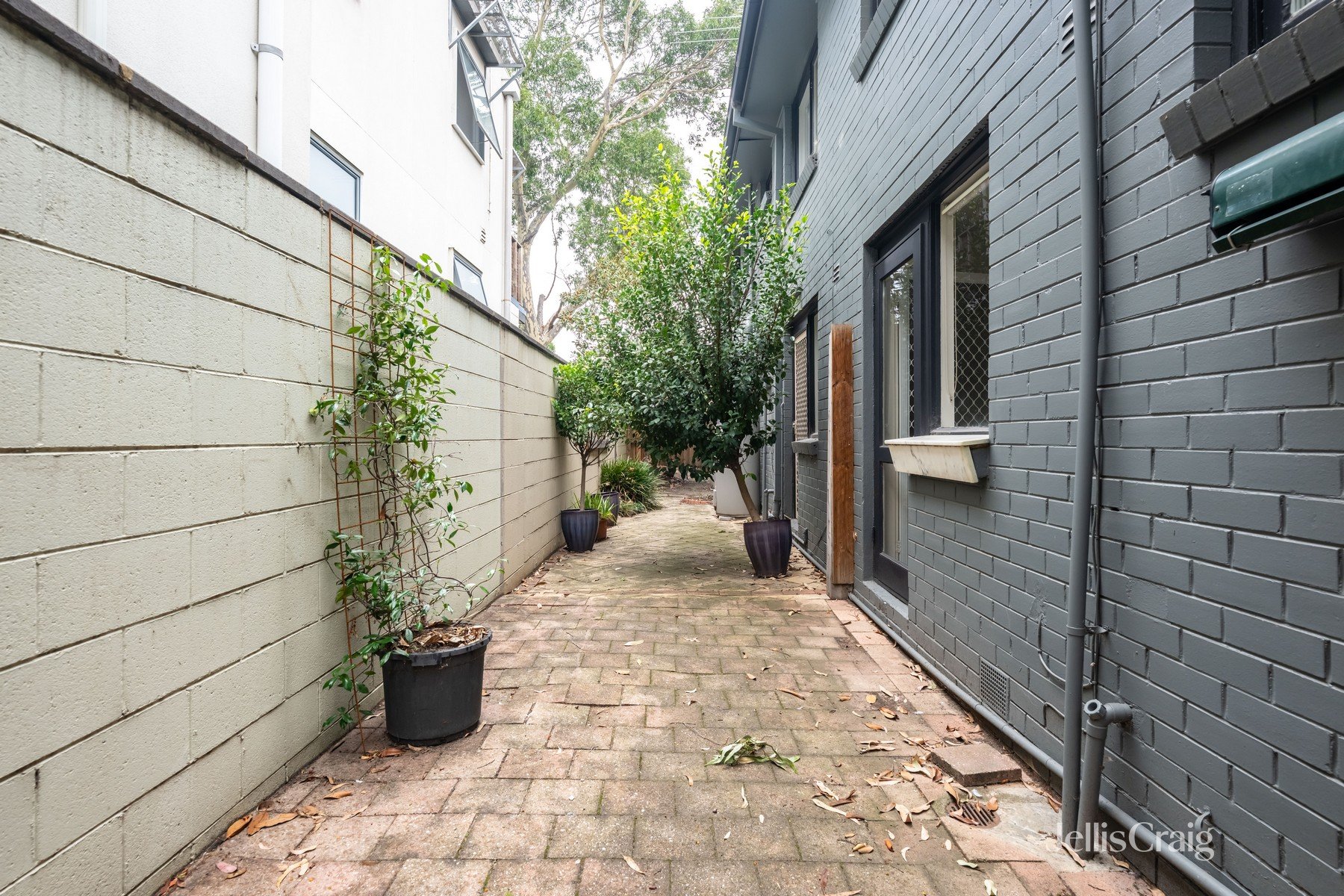 2/242 Arthur Street, Fairfield image 8