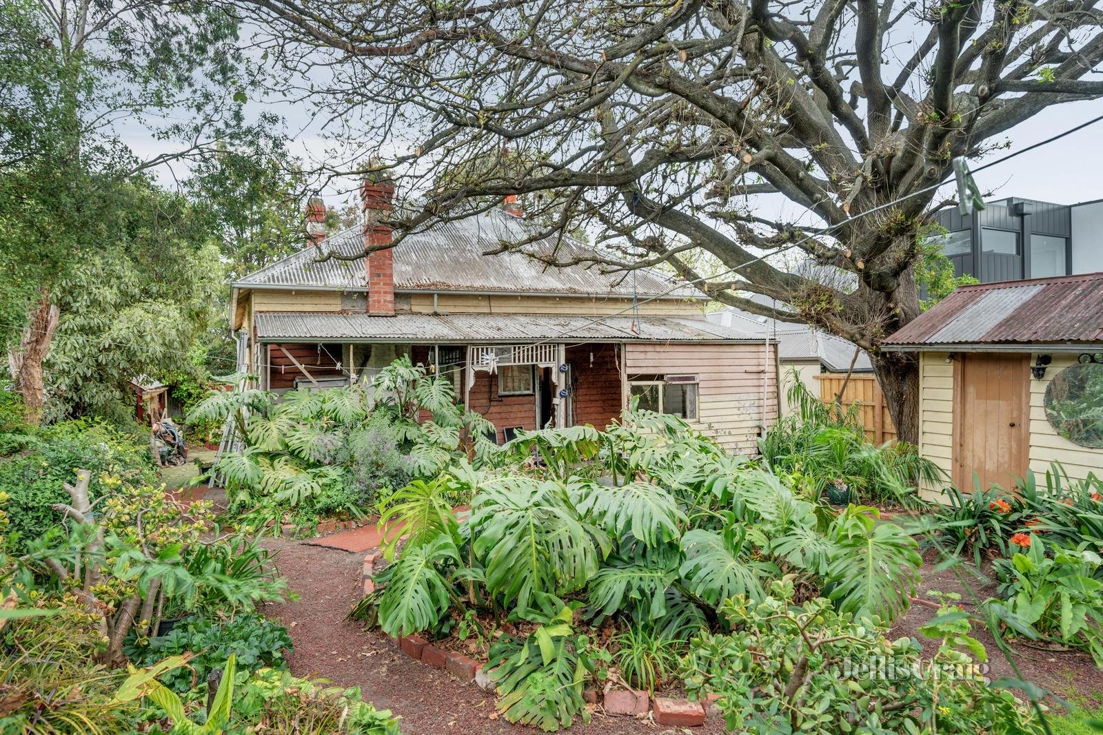 225 Mont Albert Road, Surrey Hills image 11