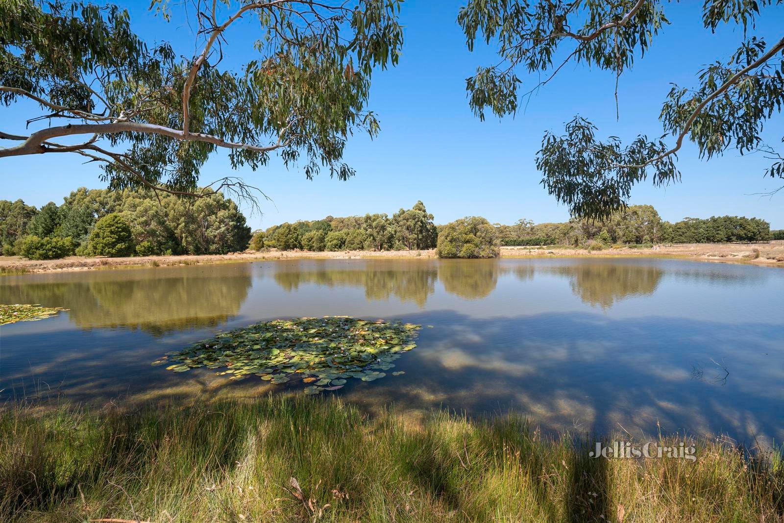 2/2570 Ballan-Daylesford Road, Musk Vale image 3