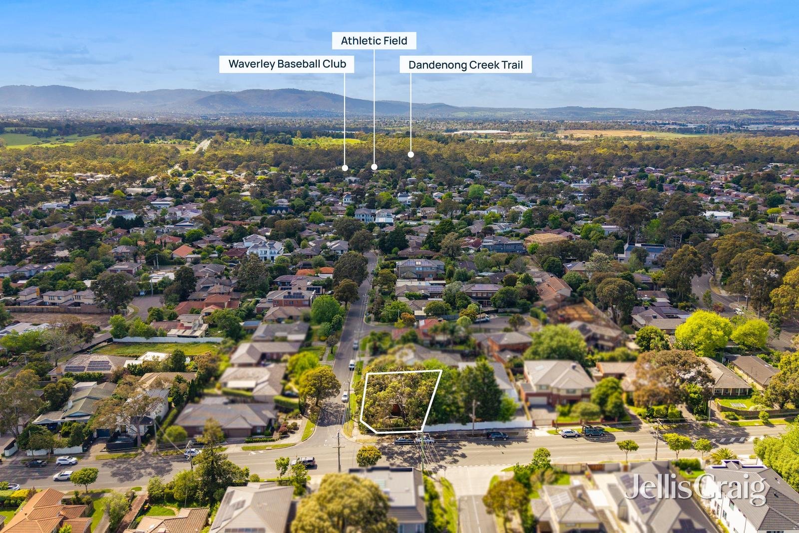 226 Gallaghers Road, Glen&nbsp;Waverley image 5