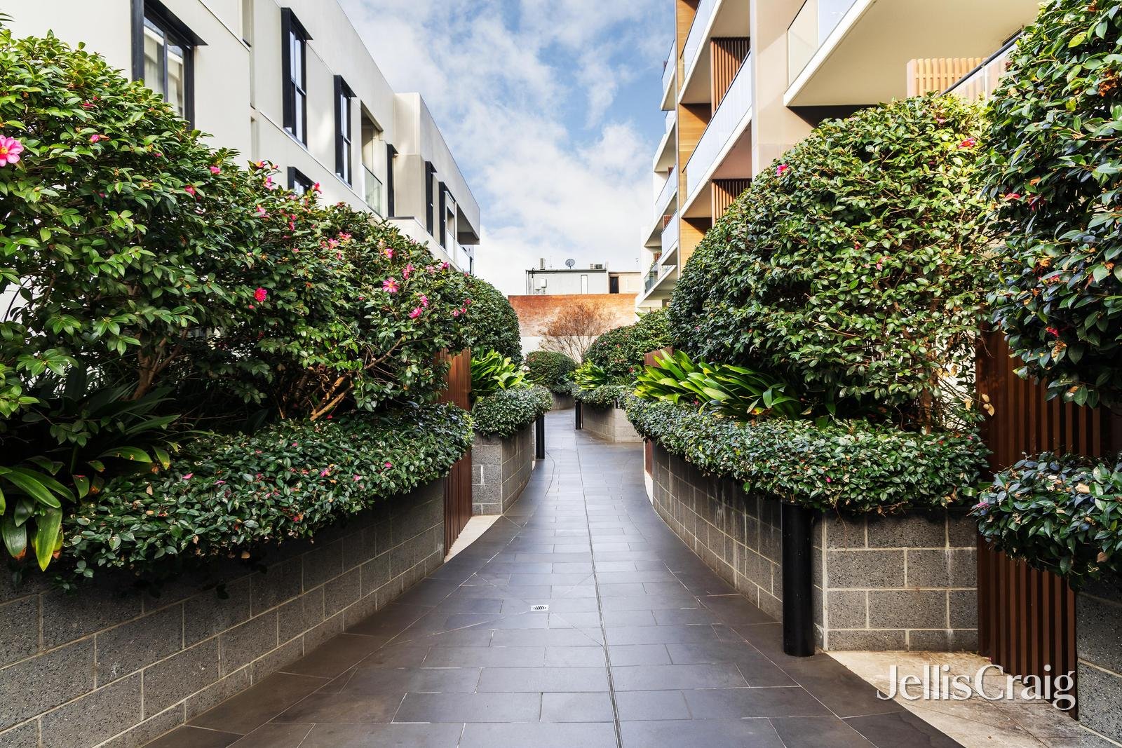 227/8 Garfield Street, Richmond image 8
