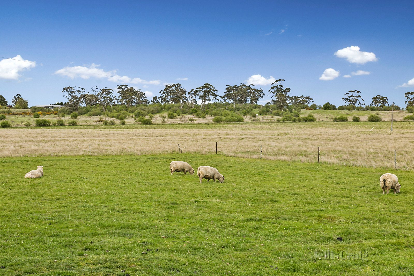 228 McPhersons Lane, Kyneton image 10