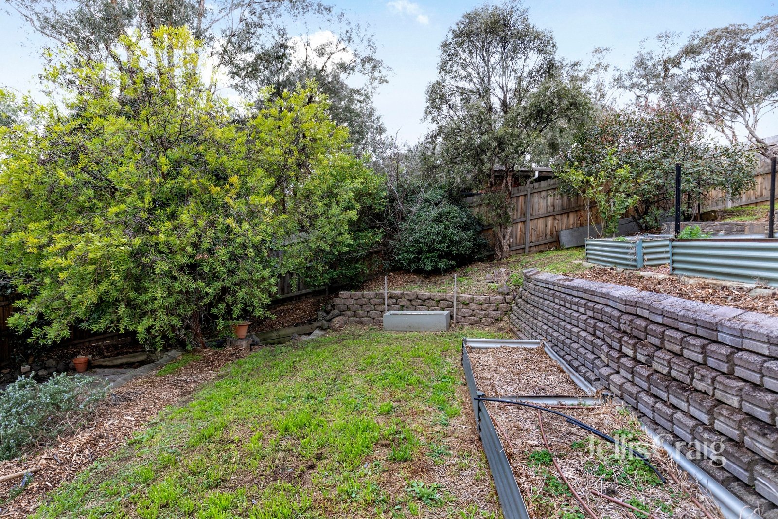 23 Acacia Road, Hurstbridge image 11