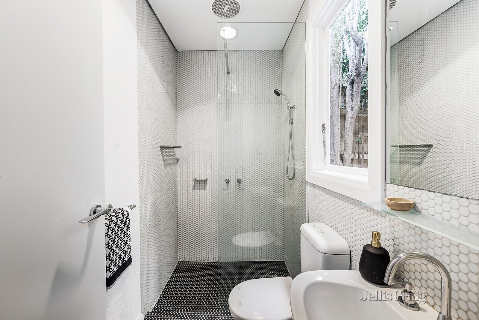 23 Carroll Street, Richmond image 9