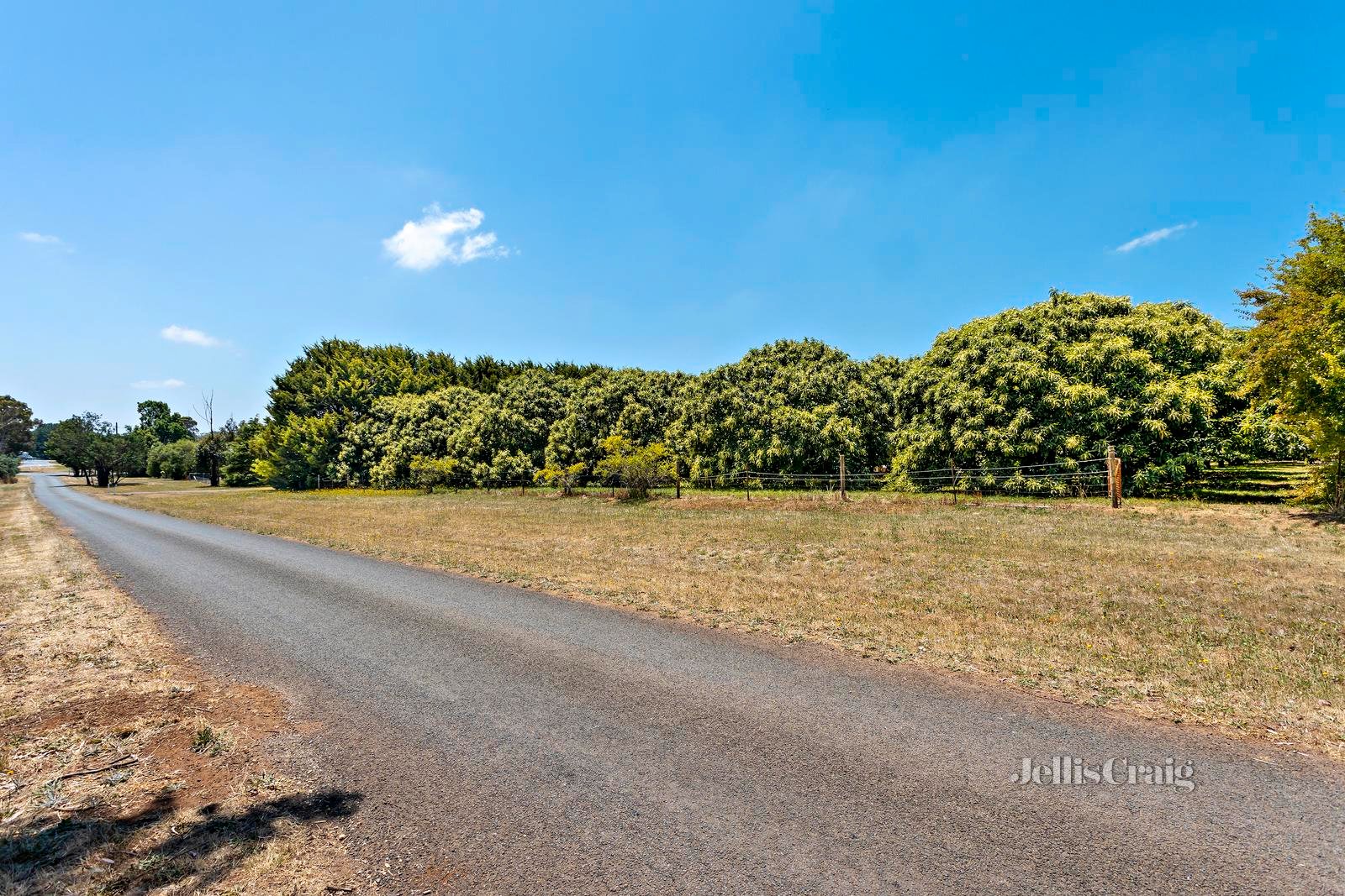 23 Collins Road, Glenlyon image 4