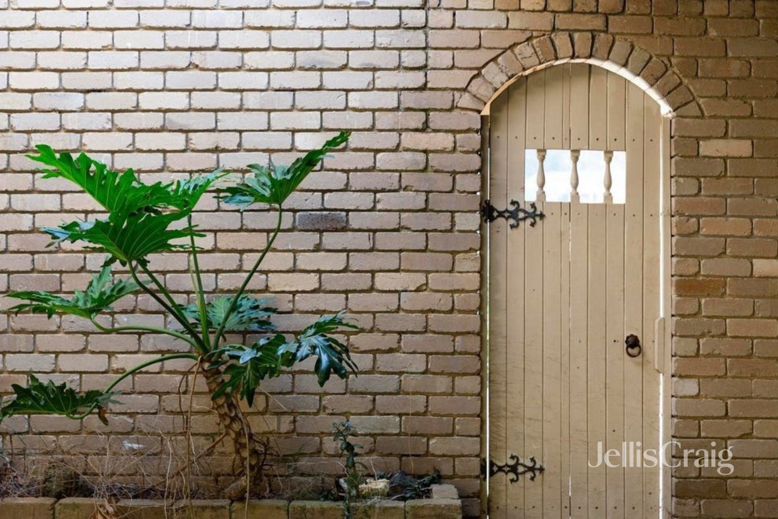 23 Eamon Drive, Viewbank image 2