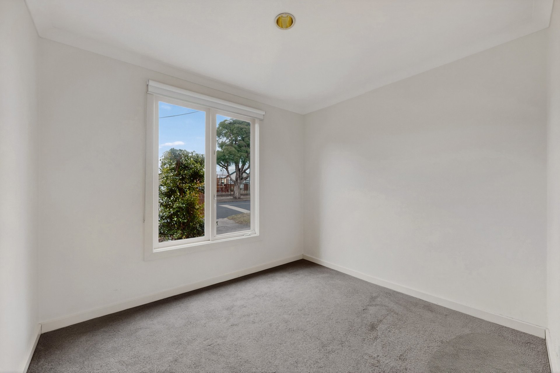 23 Garden Avenue, Glen&nbsp;Huntly image 9