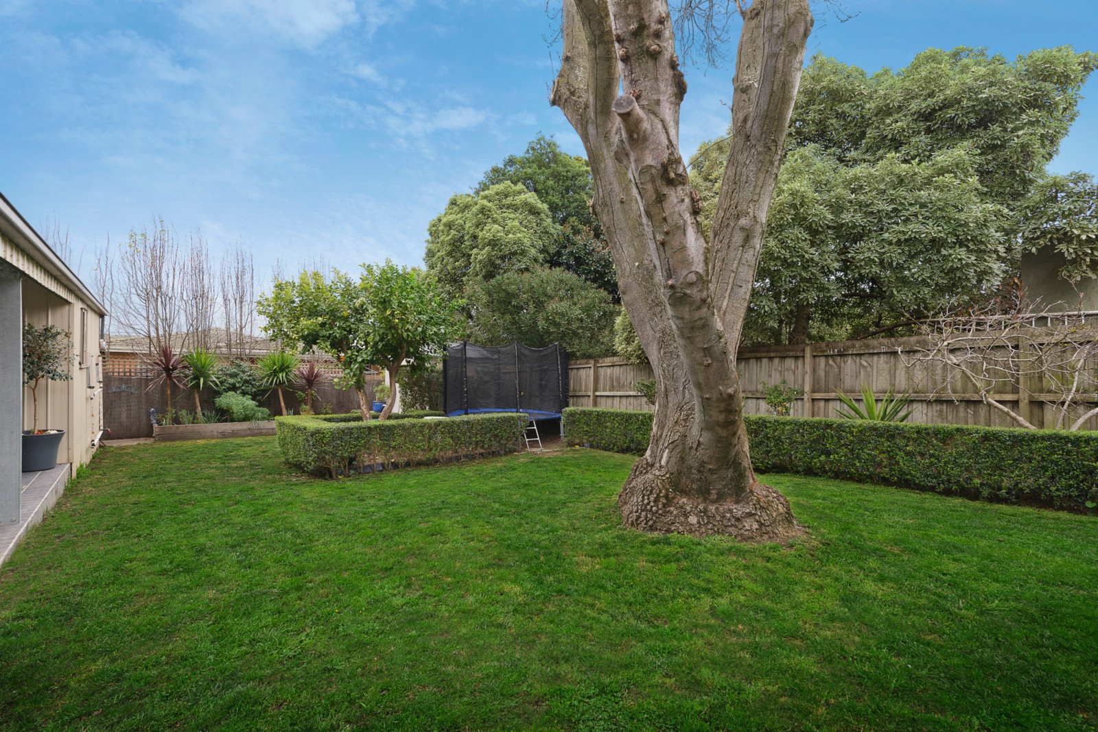 23 Hillview Road, Balwyn North image 7