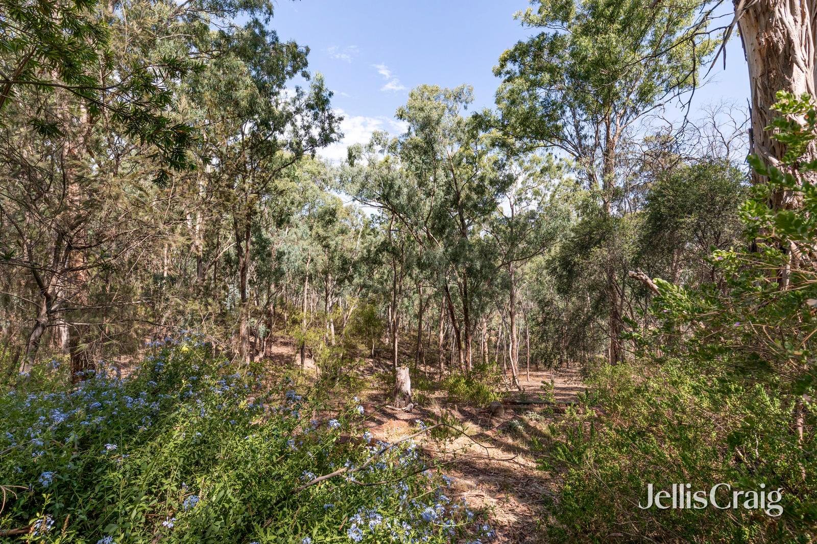 23 Hutchinson Avenue, Warrandyte image 25