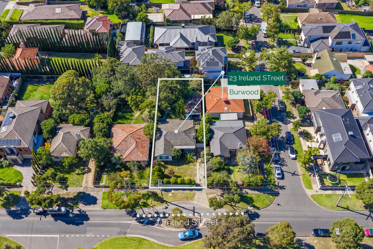 23 Ireland Street, Burwood image 4