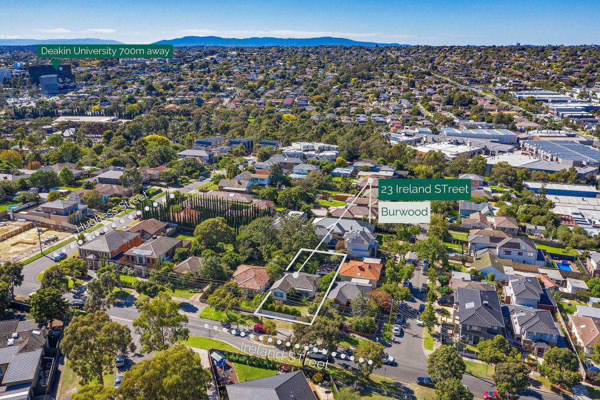 23 Ireland Street, Burwood image 5
