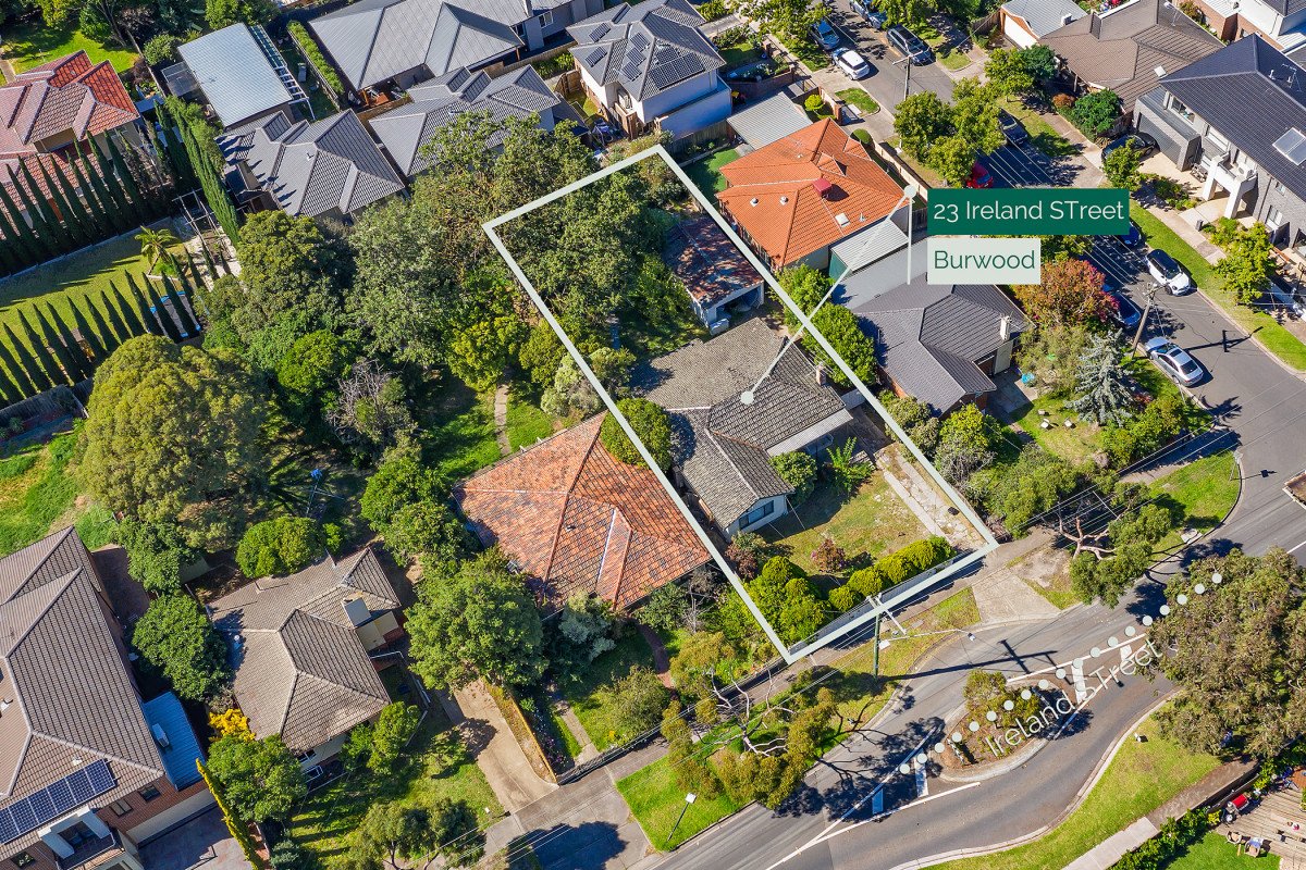 23 Ireland Street, Burwood image 6