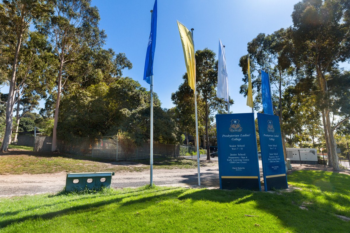 23 Ireland Street, Burwood image 7