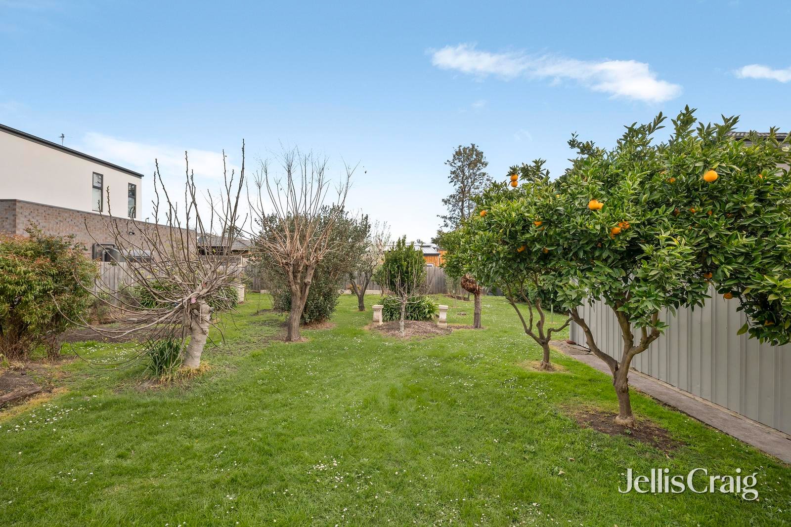 23 Neville Street, Mooroolbark image 12