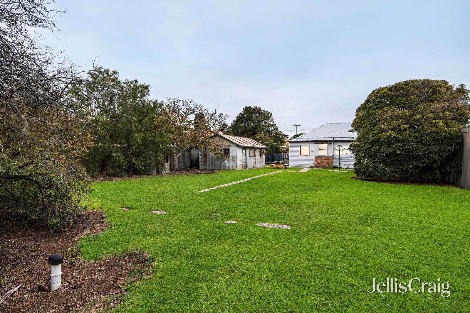 23 Pine Avenue, North&nbsp;Shore image 12