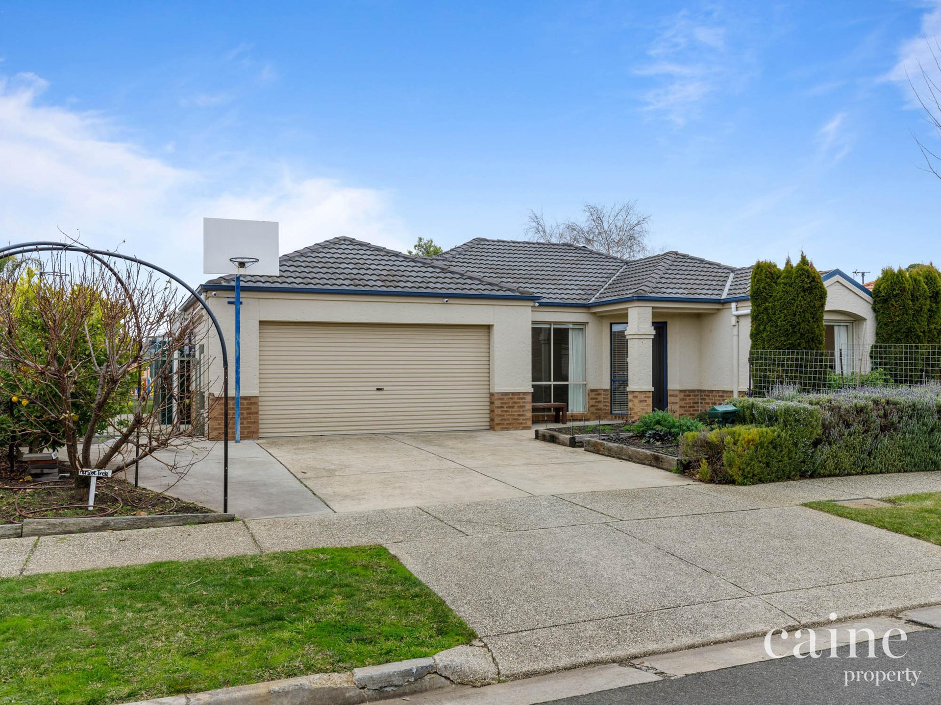 23 St Helens Avenue, Lake Gardens image 1