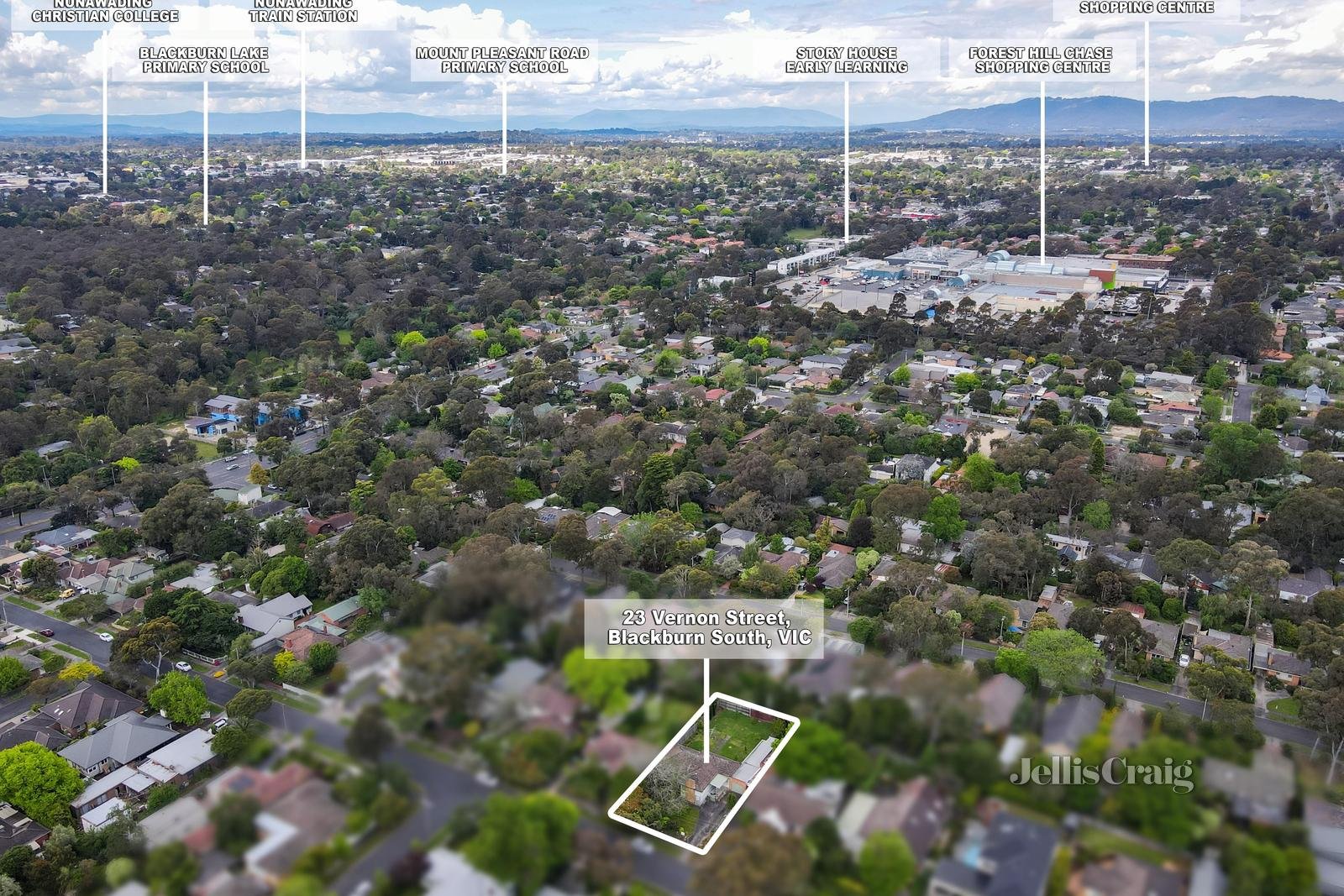 23 Vernon Street, Blackburn South image 10