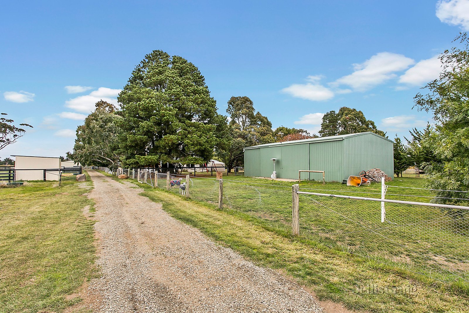 231 Northumberland Road, Pipers Creek image 11
