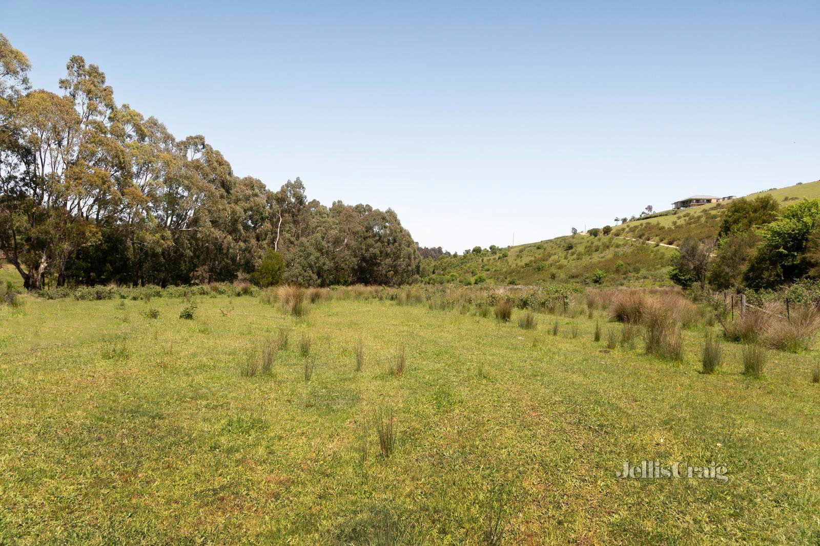 2315 Heidelberg Kinglake Road, St Andrews image 2