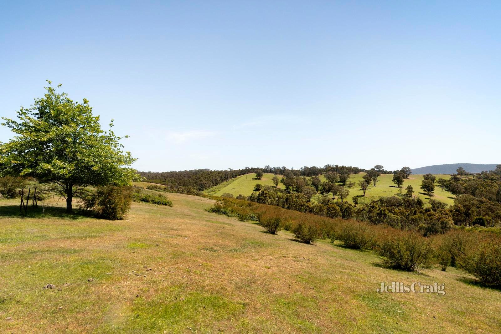 2315 Heidelberg Kinglake Road, St Andrews image 9