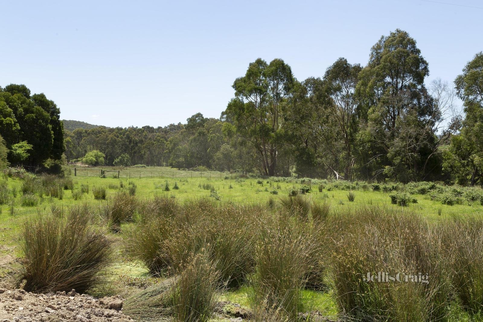 2315 Heidelberg Kinglake Road, St Andrews image 14