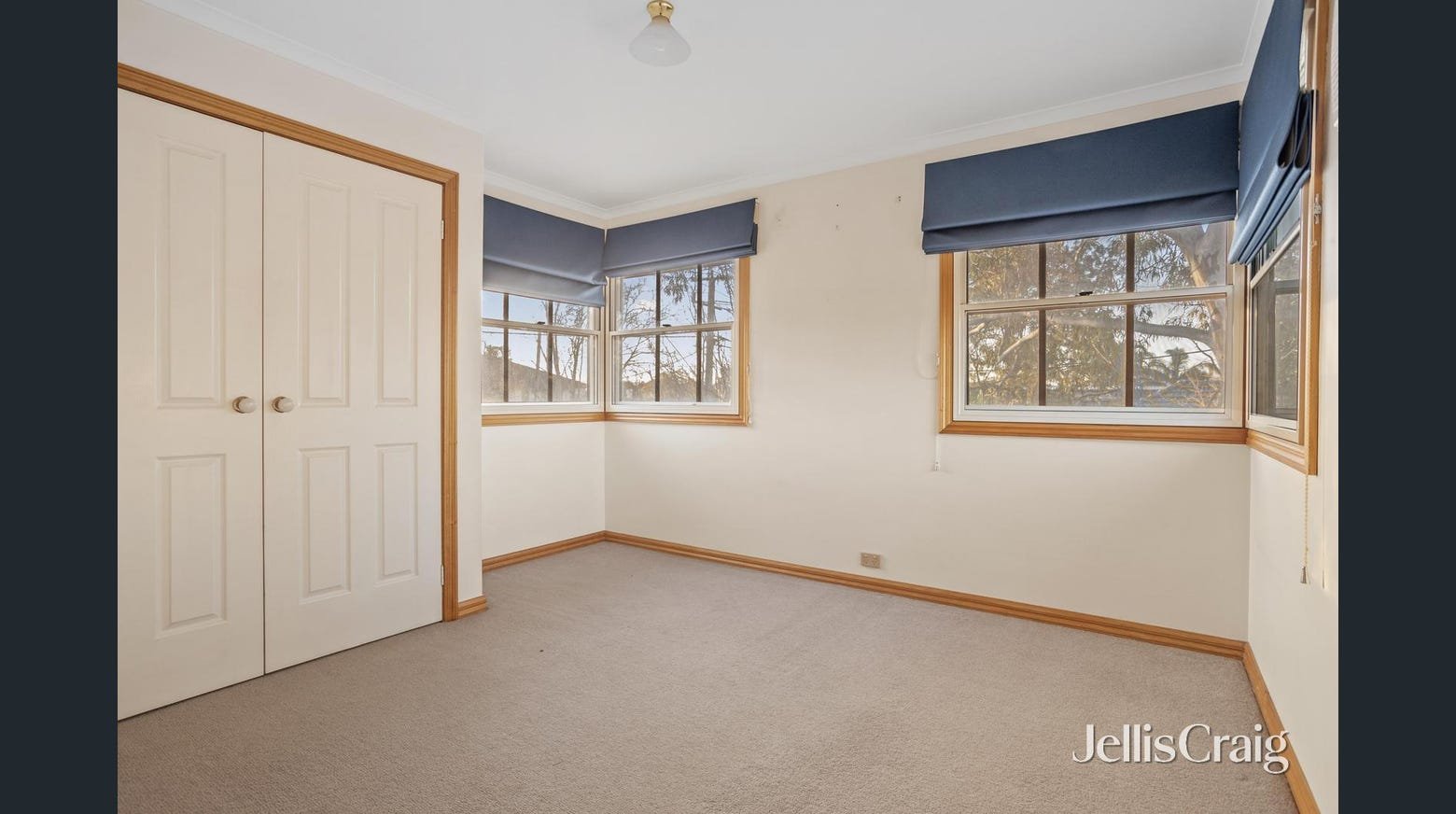 2/317 Auburn Road, Hawthorn image 5