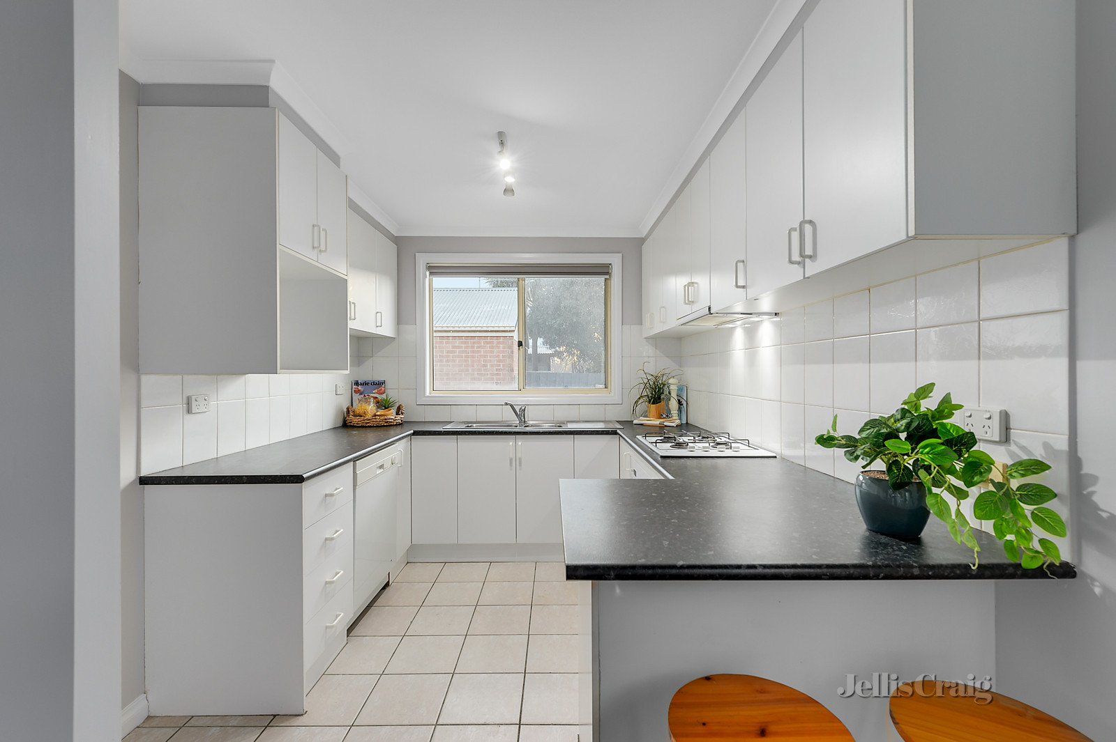 2/317 Springvale Road, Forest Hill image 4