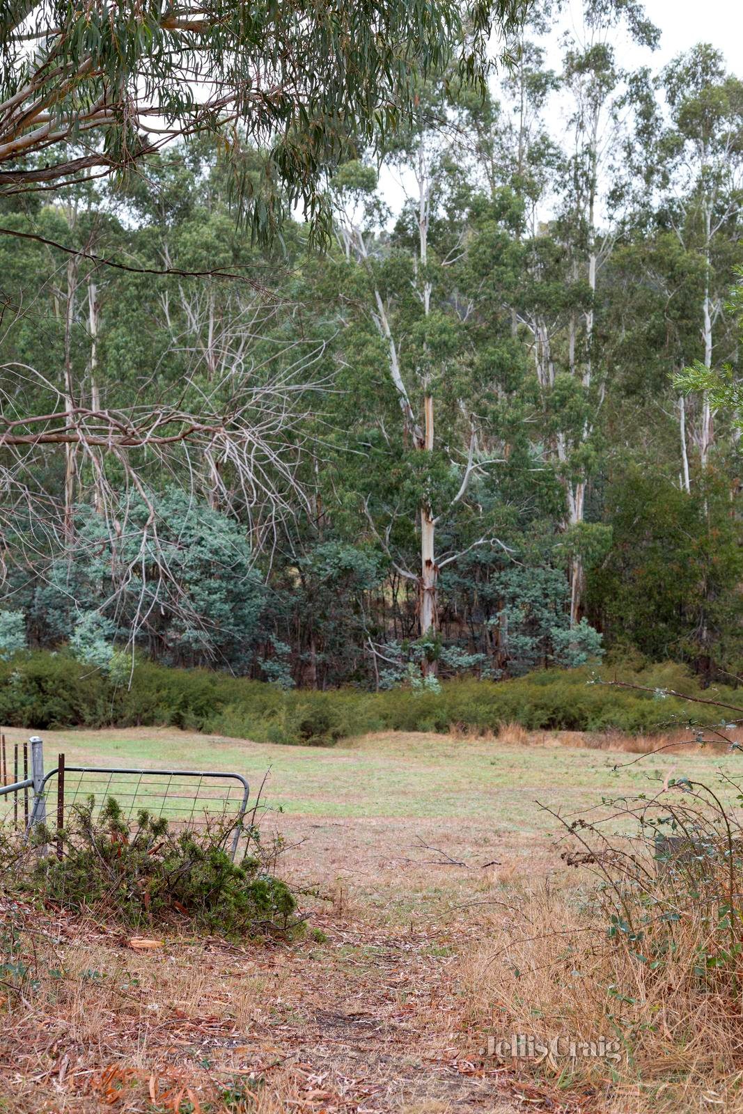 2323 Heidelberg Kinglake Road, St Andrews image 16