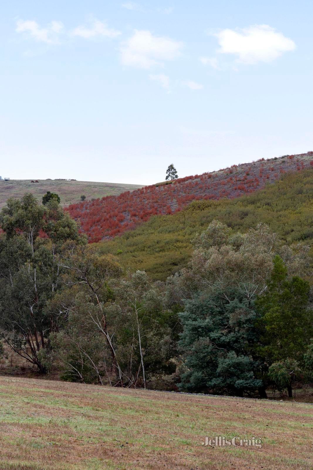 2323 Heidelberg Kinglake Road, St Andrews image 17