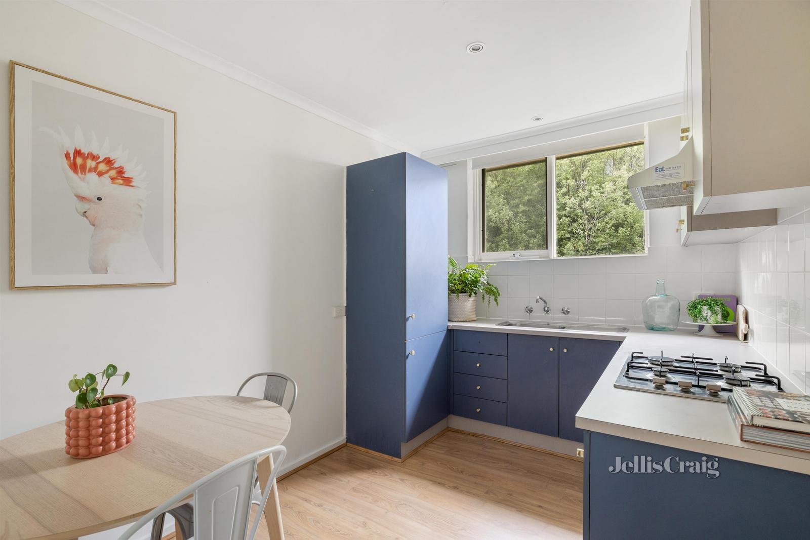 2/33 Rosstown Road, Carnegie image 6