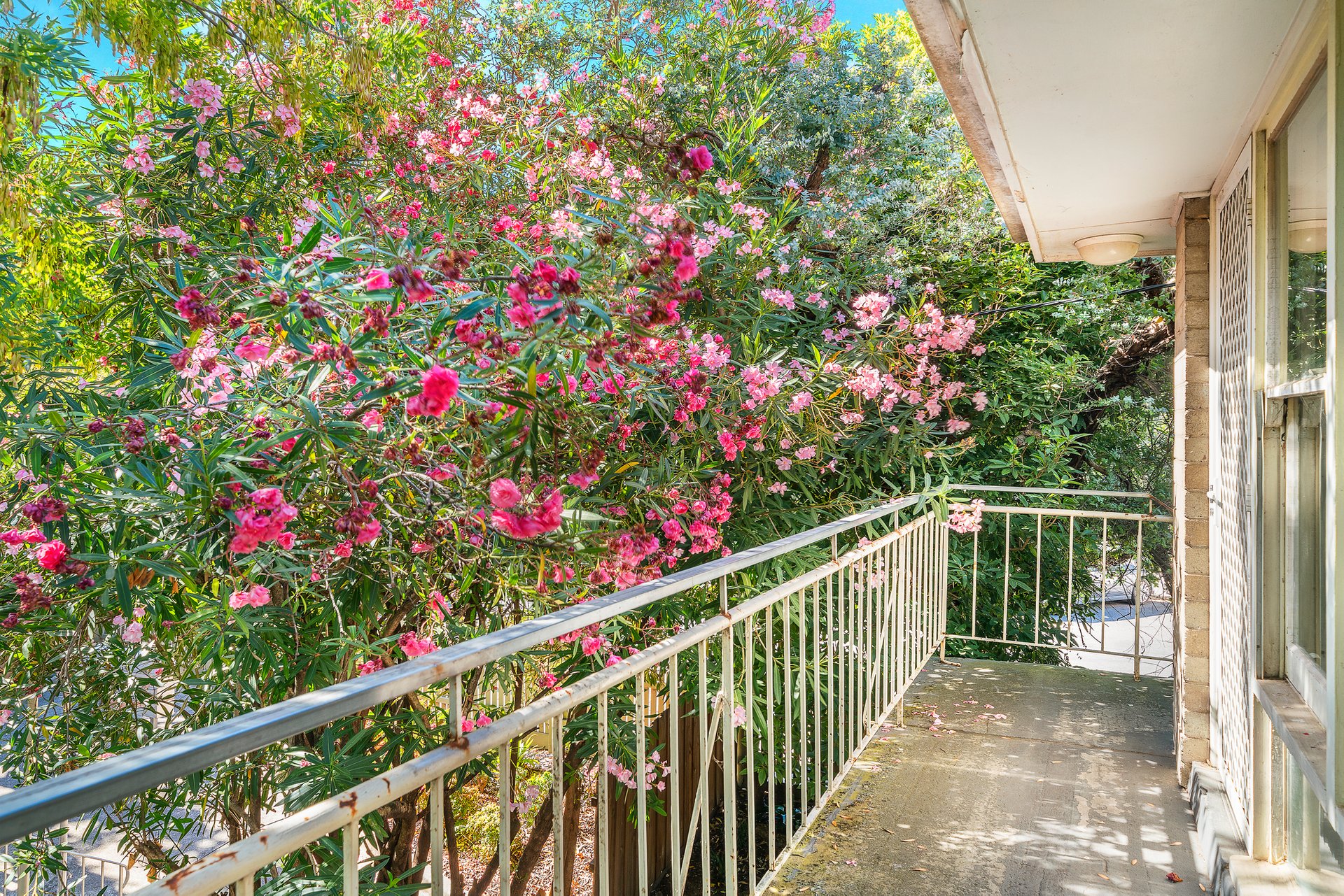 Property Gallery Thumbnail 4