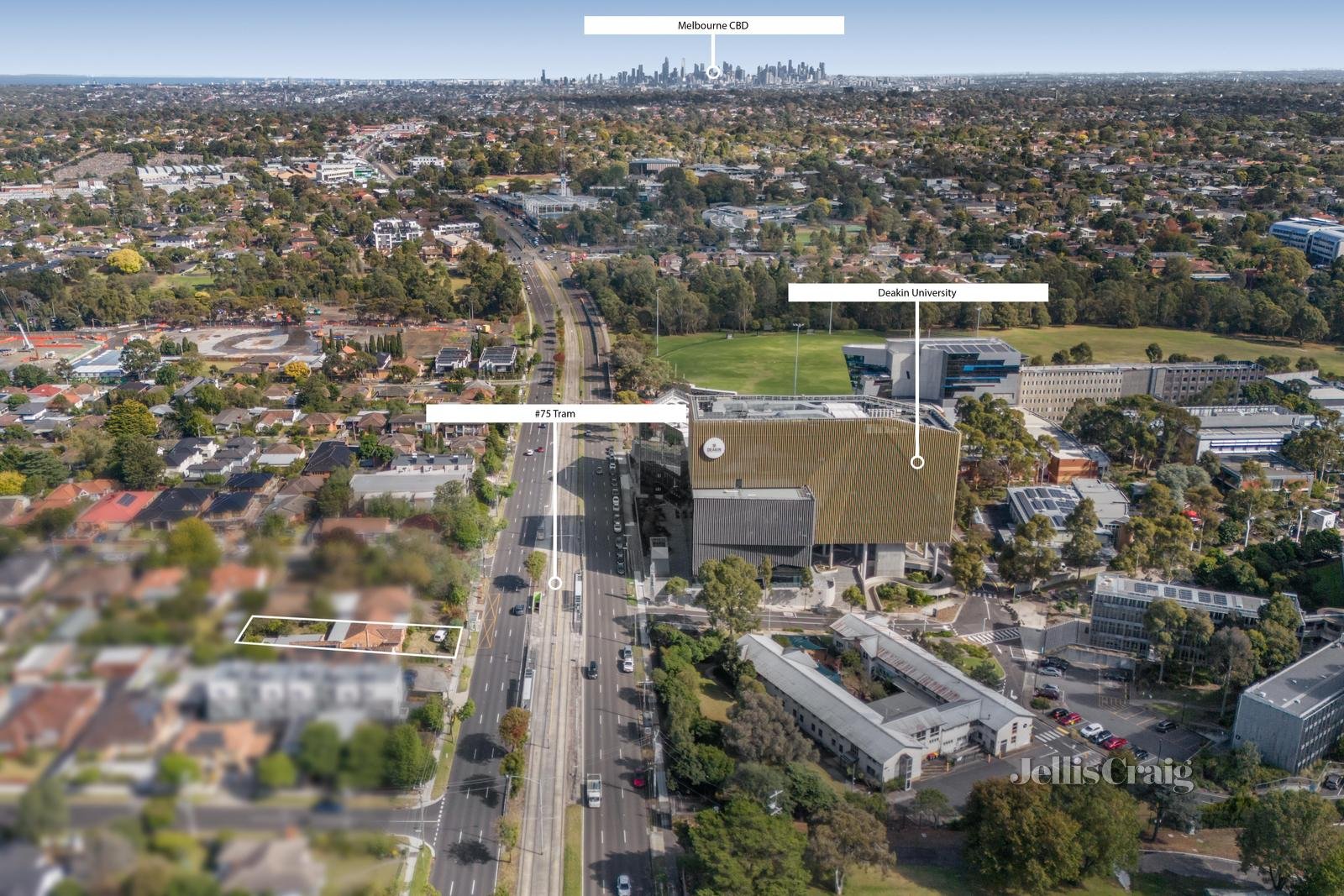 234 Burwood Highway, Burwood image 11