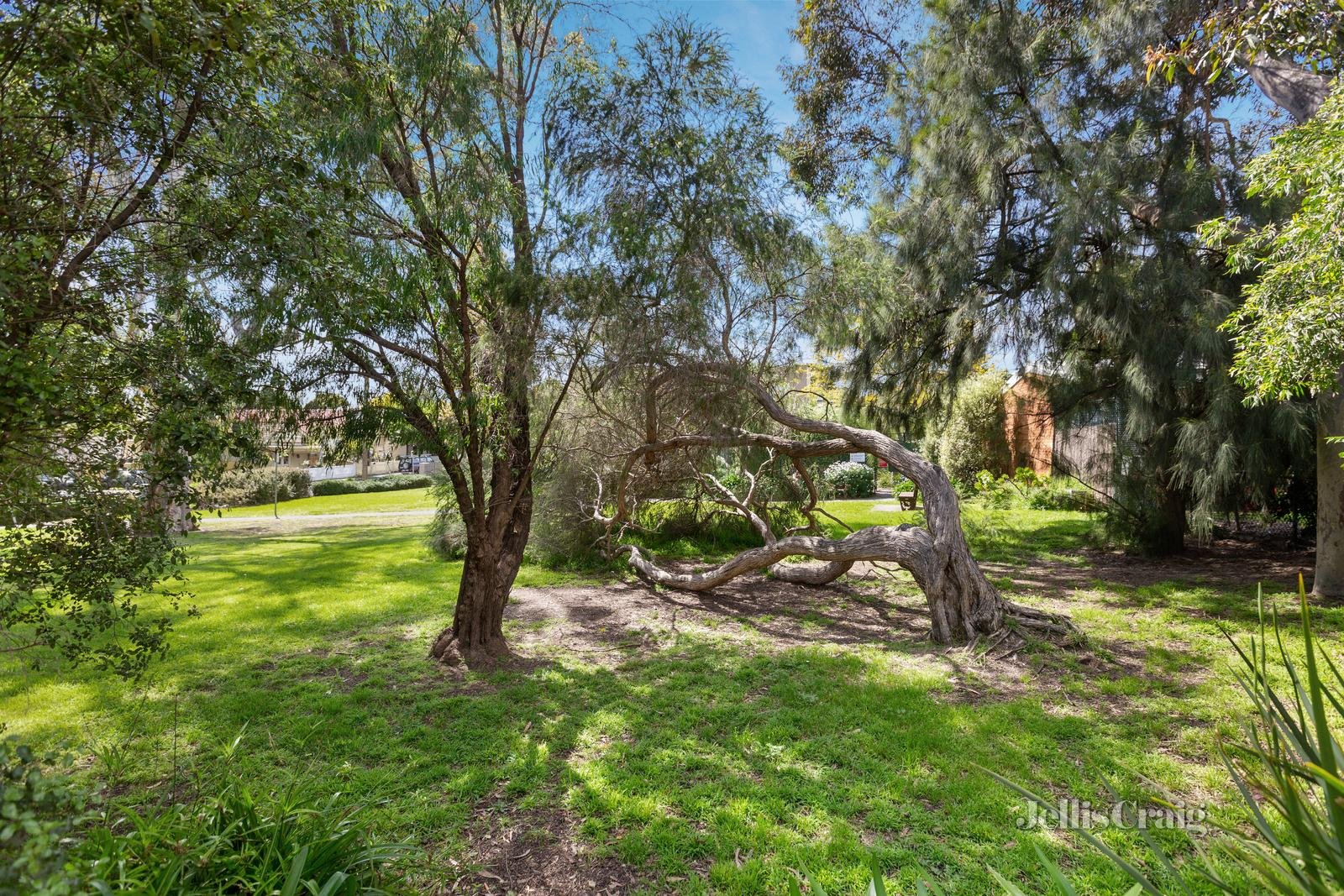 2/34 Davis Street, Kew image 8